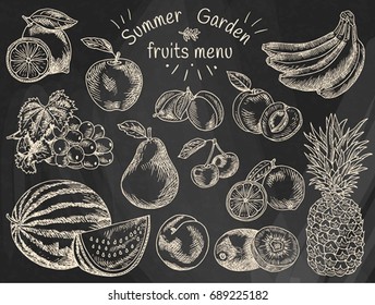 Fruits menu, summer garden, lemon, apple, grape, watermelon, pear, peach, plum, cherry, lime, kiwi, apricot, banana, pineapple on the chalkboard background