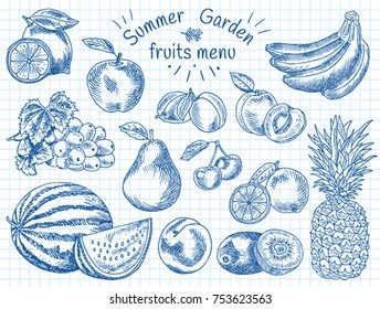 Fruits menu, summer garden, lemon, apple, grape, watermelon, pear, peach, plum, cherry, lime, kiwi, apricot, banana, pineapple