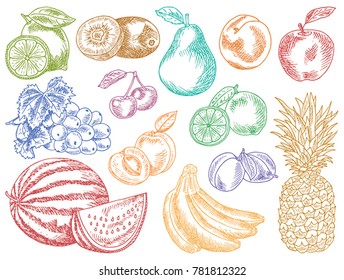 Fruits menu, summer garden, lemon, apple, grape, watermelon, pear, peach, plum, cherry, lime, kiwi, apricot, banana, pineapple