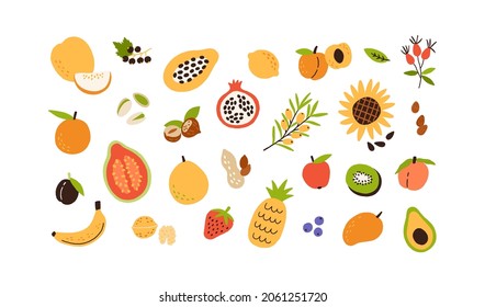 Fruits, nuts and berries set. Healthy vitamin food, groceries. Fresh avocado, banana, pineapple, walnut, lemon, orange, kiwi and sunflower. Flat vector illustration isolated on white background