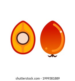Früchte der Ölpalme in der Längsrichtung und ganz. Flache Vektorgrafik einzeln auf weißem Hintergrund.