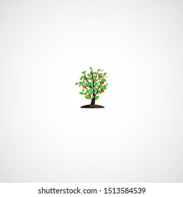 Fruits on a green tree.