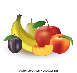Fruits on white background, vector