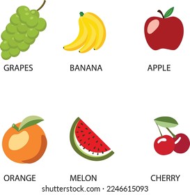 Fruits on White Background Vector