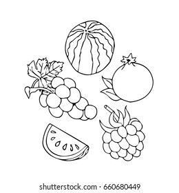 Fruits on white background vector illustration. Doodle style. Design icon, print, logo, poster, symbol, decor, textile, paper, card. 