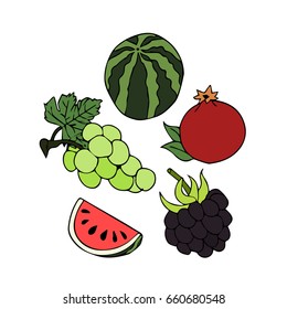 Fruits on white background vector illustration. Doodle style. Design icon, print, logo, poster, symbol, decor, textile, paper, card. 