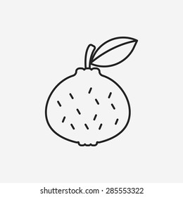 fruits orange line icon