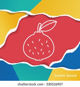 fruits orange line icon