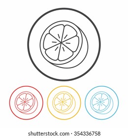 fruits orange line icon