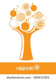 fruits orange tree design over white background vector illustration