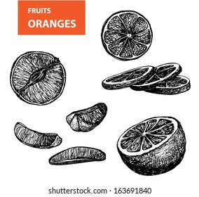 Fruits - ORANGES  set 1 - Hand drawing