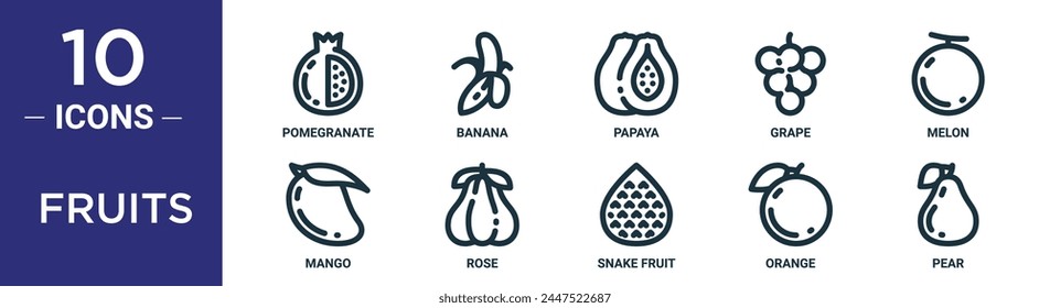 fruits outline icon set includes thin line pomegranate, banana, papaya, grape, melon, mango, rose icons for report, presentation, diagram, web design