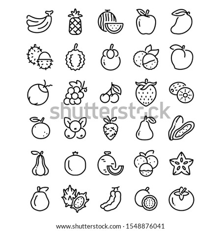 fruits outline icon. vector illustration. Isolated on white background.