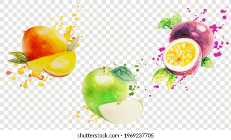 Frutos Con Pinturas Set De Fondo Transparente Aislado, Ilustración Vectorial
