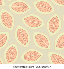 Fruits pattern. Half nut. Decorative seamless pattern for wrapping paper, wallpaper, textile, greeting cards and invitations.