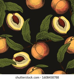 Fruits pattern. Peach seamless pattern in engraved vintage style. You can use for print on fabric, tablecloth, banner, or other. Vector illustration in hand drawn style