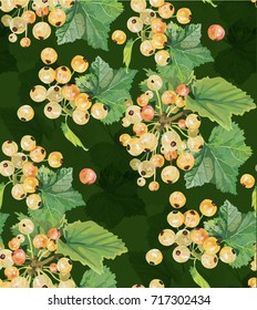 fruits patterns seamless vectors