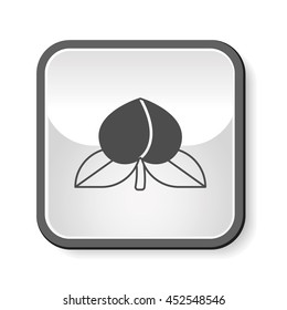 fruits peach icon