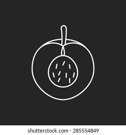 fruits peach line icon