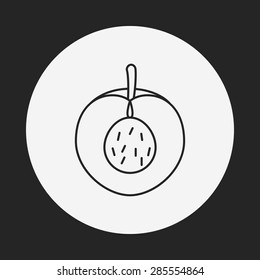 fruits peach line icon