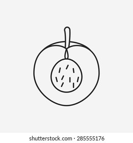 fruits peach line icon