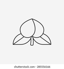 fruits peach line icon