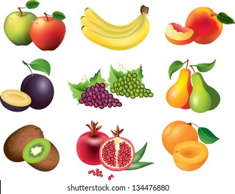 fruits photo-realistic vector set