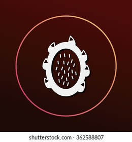 fruits pitaya icon