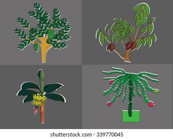 Fruits Plants
