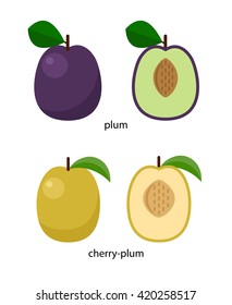 Fruits of plum and cherry-plum and their cross-sections