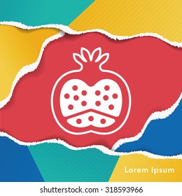 fruits pomegranate icon