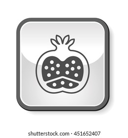 fruits pomegranate icon