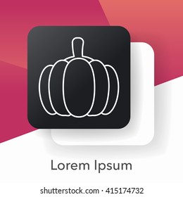 fruits pumpkin line icon
