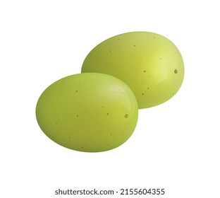Fruits realistic composition with isolated images of solid grape berries on blank background vector illustration