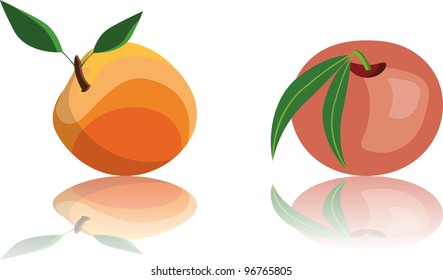 fruits reflexion white background apricot peach