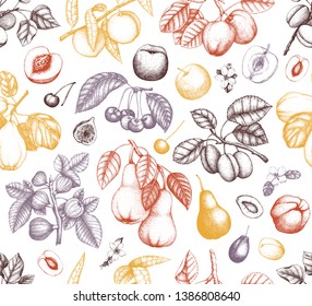 Fruits seamless pattern. Cherry, plum, peach, apple, peach, apricot, fig, quince, pear sketches. Vector fruits tree branches and flowers background. Hand drawn botanical illustration.