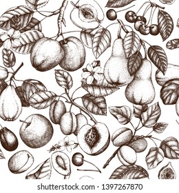 Fruits seamless pattern. Cherry, plum, apple, peach, apricot, fig, quince, pear sketches. Vector fruits tree branches and flowers background. Hand drawn botanical illustration. Harvest design.