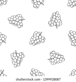Fruits seamless pattern with icons. Style Outline. Vector background. White background, black icon.