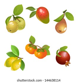 Fruits set