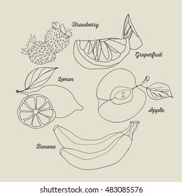 Fruits. Set of black line vector illustrations.