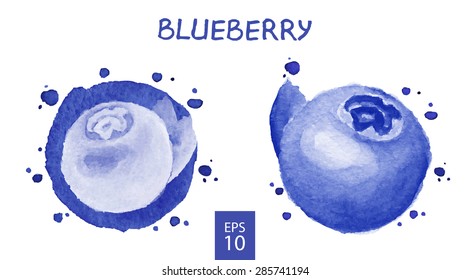 Fruits set - Blueberry. Watercolor drawing. Vector