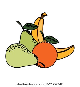 Fruits set design, Healthy organic food sweet nature juicy and tropical theme Vector illustration