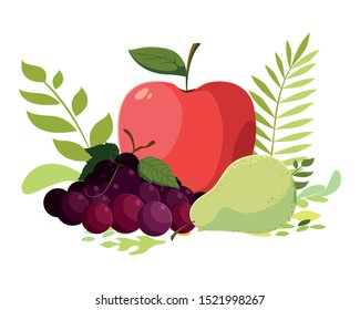 Fruits set design, Healthy organic food sweet nature juicy and tropical theme Vector illustration