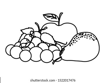 Fruits set design, Healthy organic food sweet nature juicy and tropical theme Vector illustration