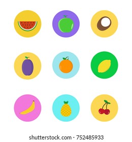 Fruits set flat design isolated. Vector illustration.