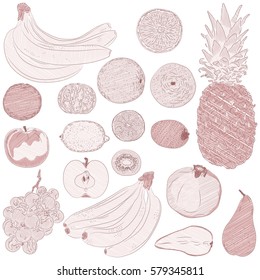 Fruits set hand drawn in retro style vector illustration