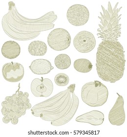 Fruits set hand drawn in retro style vector illustration