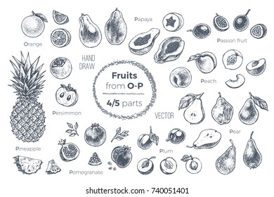 Fruits set. Hand drawn vector. Sketches of tropical fruits from O to P for design of juice packages & smoothie recipes. 4 of 5 parts