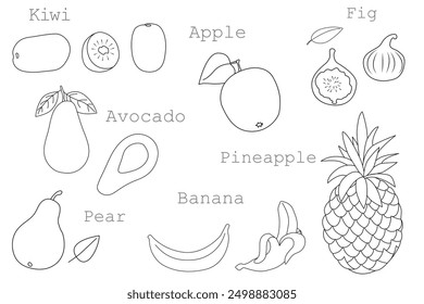 Fruits set, hand-drawn. Contour drawing isolated on a white background. Whole and chopped fruits. Apple, pear, avocado, kiwi, fig, banana, pineapple. Illustration, icon, template for coloring.