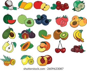 fruits set illustration in flat style on isolated white background